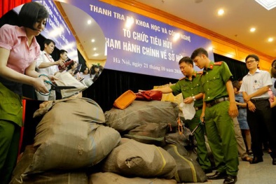10 năm thực thi quyền sở hữu trí tuệ: Vẫn 'nặng' về hành chính