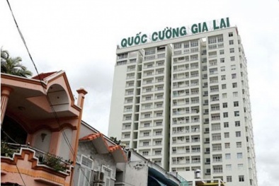 Quốc Cường Gia Lai bàn kế hoạch tạm ứng cổ tức 8,6% bằng tiền năm 2017