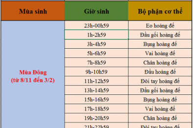 Xem tử vi theo giờ sinh biết phúc họa cuộc đời