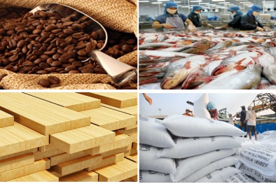 Gian lận chất lượng, nông sản xuất khẩu của Việt Nam bị mang tiếng xấu