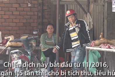 TP.HCM: Chợ thịt chó nổi tiếng bị 'truy quét'