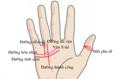 Bàn tay có đặc điểm này không phú cũng quý, cả đời may mắn