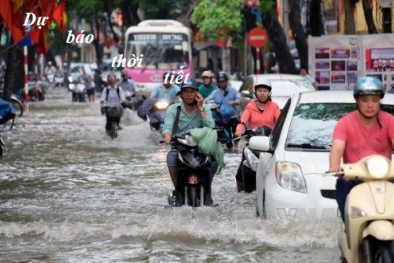 Cảnh báo lũ trên các sông ở Bắc Trung Bộ, Tây Nguyên mưa lớn