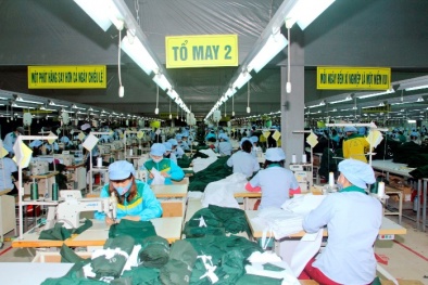 Nhiều giải pháp tăng năng suất lao động tại Công ty Cổ phần X20