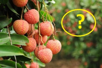 Những người này phải hạn chế ăn quả vải để đảm bảo sức khỏe