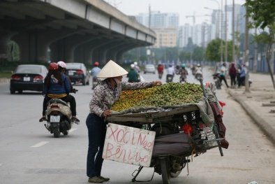 Hà Nội chuẩn bị cấp giấy chứng nhận hoa quả sạch cho các hộ kinh doanh