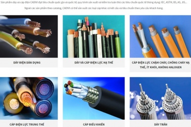 CADIVI áp dụng thành công hệ thống quản lý chất lượng ISO 9001:2015