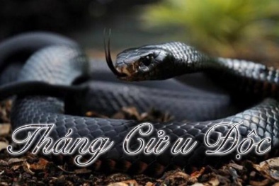 Giải mã tháng 5 âm lịch - tháng 'Cửu Độc' phải kiêng chuyện gối chăn