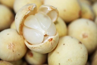 Ăn quả bòn bon không đúng cách: Ẩn họa khôn lường