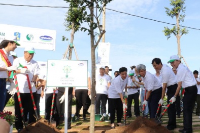 Quỹ 1 triệu cây xanh và Vinamilk trồng hơn 110.000 cây xanh tại Bà Rịa-Vũng Tàu