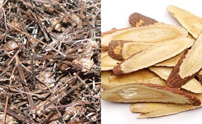 Uống nhân trần và cam thảo có thể gây rối loạn sinh dục nam