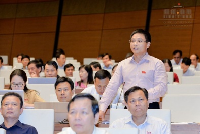 Tiền nợ xấu 600 nghìn tỷ có thể xây được 3 sân bay Long Thành