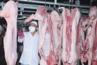 TP.HCM chuẩn bị cấm bán thịt không rõ nguồn gốc, vi phạm an toàn thực phẩm sẽ bị khởi tố