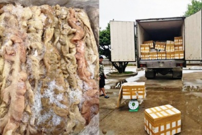 Thanh Hóa: Phát hiện xe tải chở 4,5 tấn nội tạng lợn bốc mùi ôi thiu