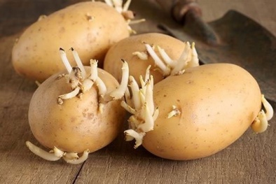‘Chết người’ như chơi nếu ăn khoai tây kiểu này!