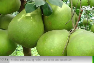 Điểm danh những loại quả bị đồn gây ung thư, chết người nếu ăn phải