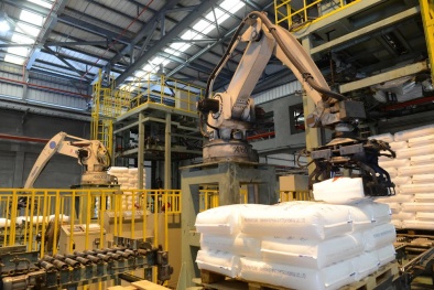 BSR tạo nền tảng bền vững cho hành trình tương lai