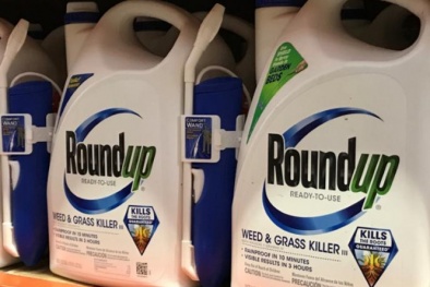 Thế giới tiếp tục 'tẩy chay' hoạt chất glyphosate gây ung thư, Việt Nam có còn 'xài'?
