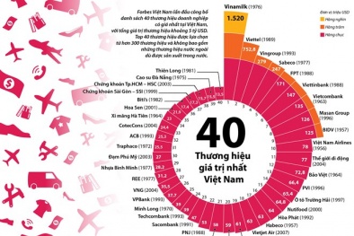 Thương hiệu của doanh nghiệp nào đắt nhất Việt Nam?