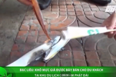 Mực khô giả, nướng có mùi khét như cao su bày bán tràn lan ở khu du lịch