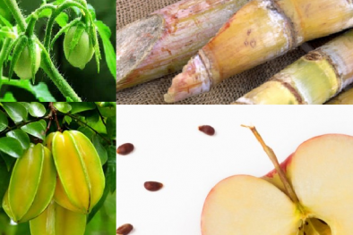 Cây mía, quả khế, hạt điều cũng sẽ thành 'kẻ giết người' nếu ăn sai cách
