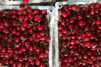 Cherry Trung Quốc giá rẻ chiếm lĩnh chợ online