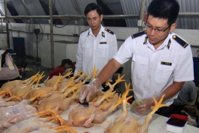 Những con số đáng báo động về an toàn thực phẩm 6 tháng đầu năm