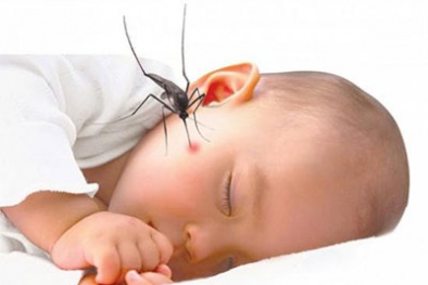 Sốt xuất huyết gây tử vong cao, cần tránh những sai lầm đáng tiếc