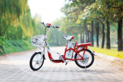 Công ty xe đạp điện 'made in Vietnam' gửi thư cầu cứu Bộ trưởng Bộ Công thương