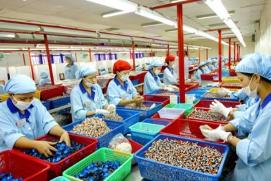 Yêu cầu doanh nghiệp tăng cường rà soát điều kiện đảm bảo ATTP