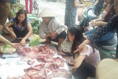 Dân tự 'giải cứu' lợn: Không loại trừ nguy cơ lợn bệnh chết được trà trộn