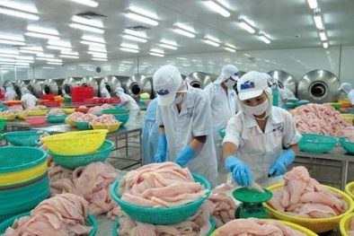 Nghị định 38/2012/NĐ-CP: Chính phủ yêu cầu sửa đổi không chậm trễ