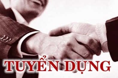 Tổ chức Năng suất Châu Á tuyển dụng cán bộ