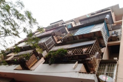 'Chuồng cọp': Bẫy chết người trong các nhà ống ở thành phố