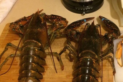 Đại gia Việt săn tôm hùm ‘khổng lồ’ nặng tới 7kg tặng nhà vợ