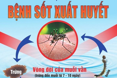 TP.HCM: Sốt xuất huyết đến sớm và diễn biến phức tạp
