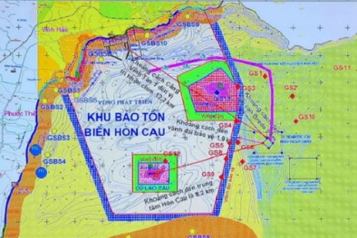 Vụ nhận chìm bùn thải Vĩnh Tân: Nhiều chi tiết bất ngờ