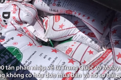 Đặc nhiệm bắt 5 tàu chở 1.000 tấn phân bón lậu trên biển