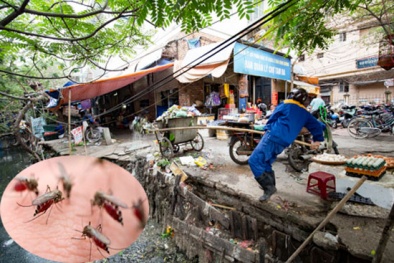 Hà Nội: Những con số đáng báo động về dịch sốt xuất huyết
