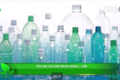 Đồ nhựa tiện dụng: Dùng một lần, hại cả đời