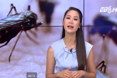 Mẹo đơn giản, an toàn để không bị muỗi đốt ai cũng phải biết