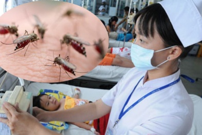 Tăng cường công tác phòng, chống dịch bệnh sốt xuất huyết