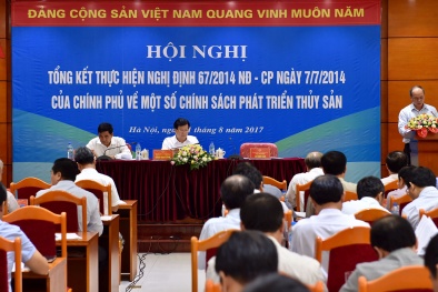 Phó Thủ tướng chủ trì Hội nghị tổng kết Nghị định 67 về một số chính sách phát triển thủy sản