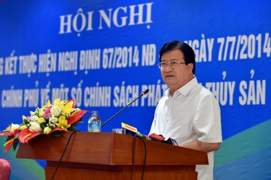Vụ tàu vỏ thép kém chất lượng: Phó Thủ tướng chỉ rõ các bên chịu trách nhiệm