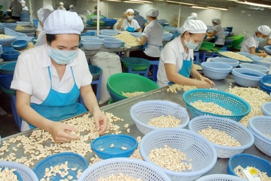 Nâng cao chất lượng, tạo lợi thế cạnh tranh cho các mặt hàng xuất khẩu