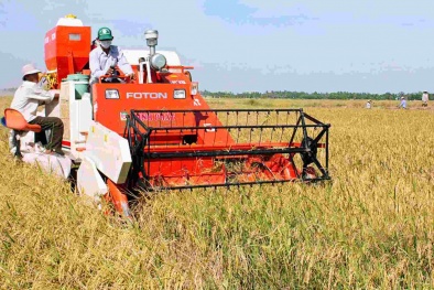 Đề xuất hỗ trợ cơ giới hóa, giảm tổn thất trong nông nghiệp