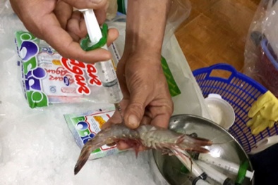 Đà Nẵng: Phạt cơ sở bơm tạp chất vào tôm 4 triệu đồng