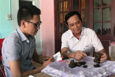 Quảng Bình: Mổ thịt dê, phát hiện 7 vật thể nghi là ‘dương bảo’ quý hiếm
