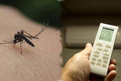 Chức năng đuổi muỗi trên điều hòa không phải ai cũng biết
