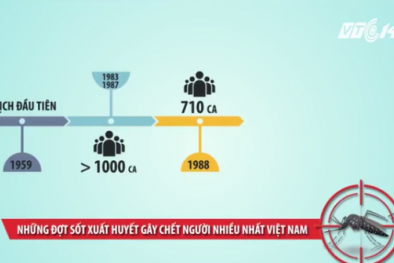 Những đợt sốt xuất huyết gây chết người nhiều nhất Việt Nam